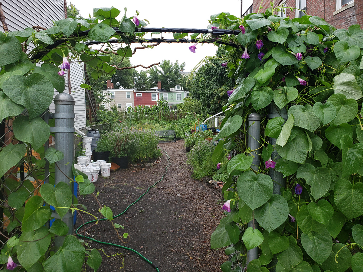 Eastie Farms 4