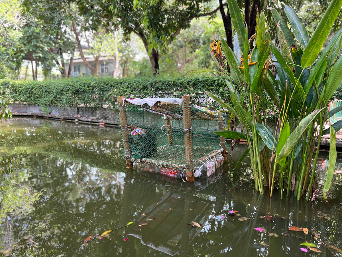 Duck Coop 7