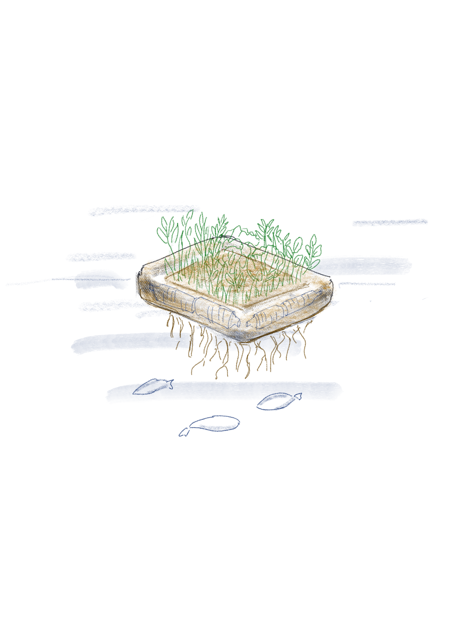 Chinampa Illustration