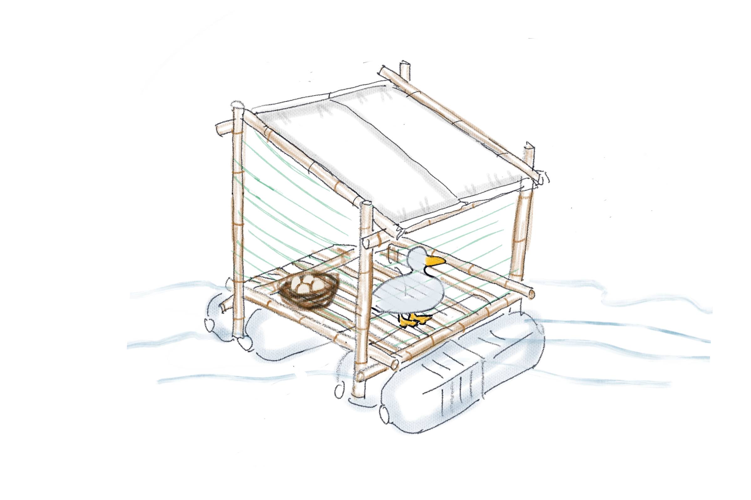Duck Coop Illustration