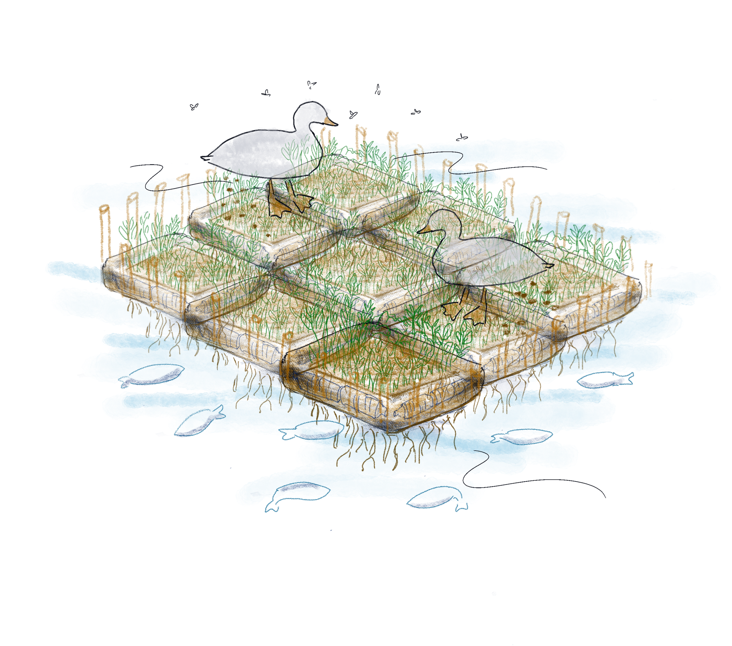 Floating Garden Illustration