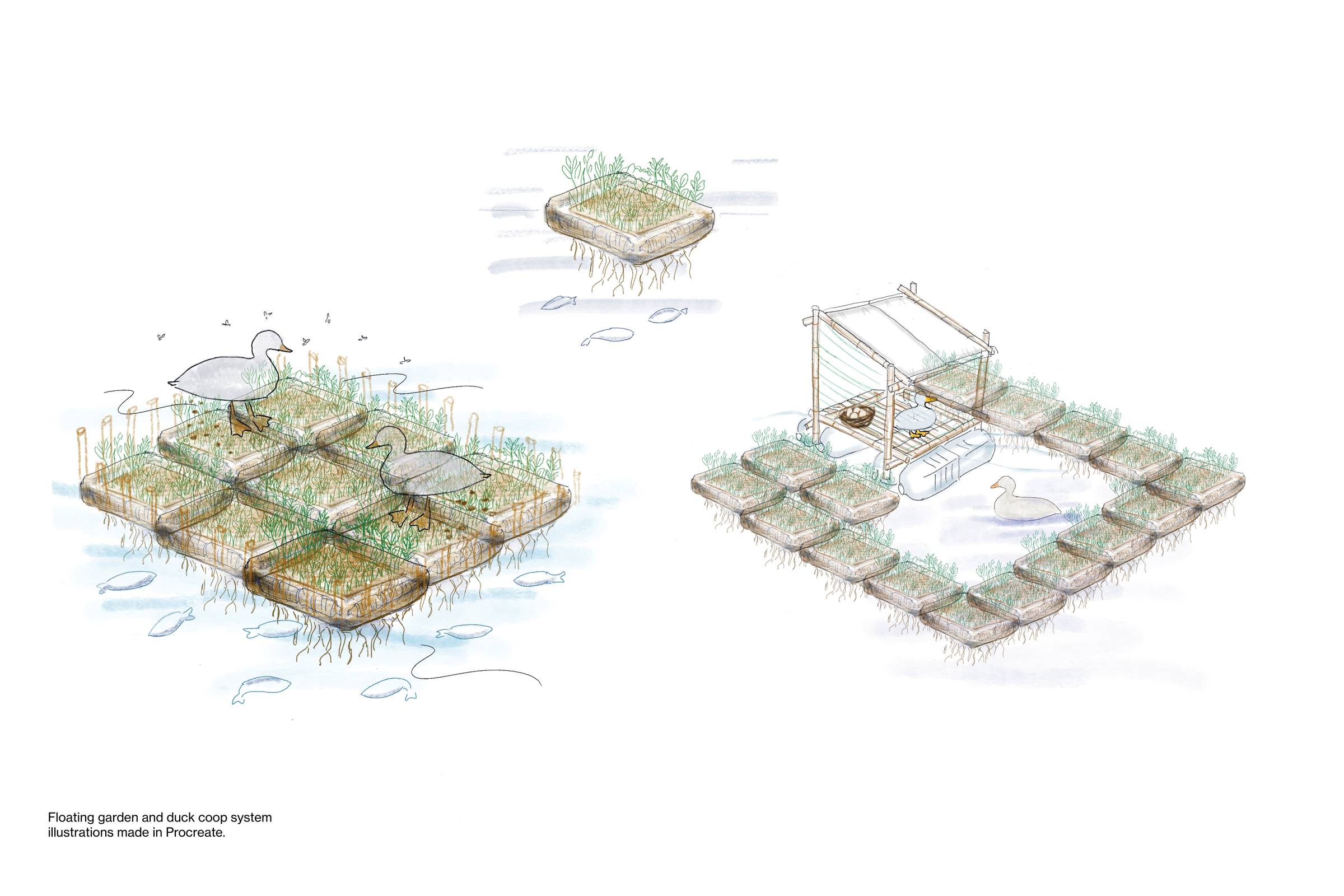 System Illustration