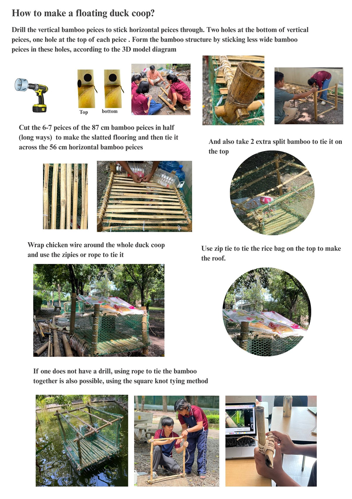 Guide 6
