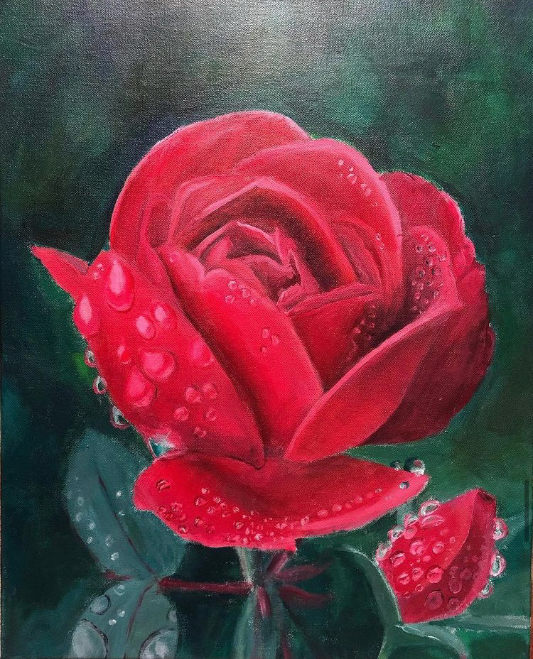 Rose