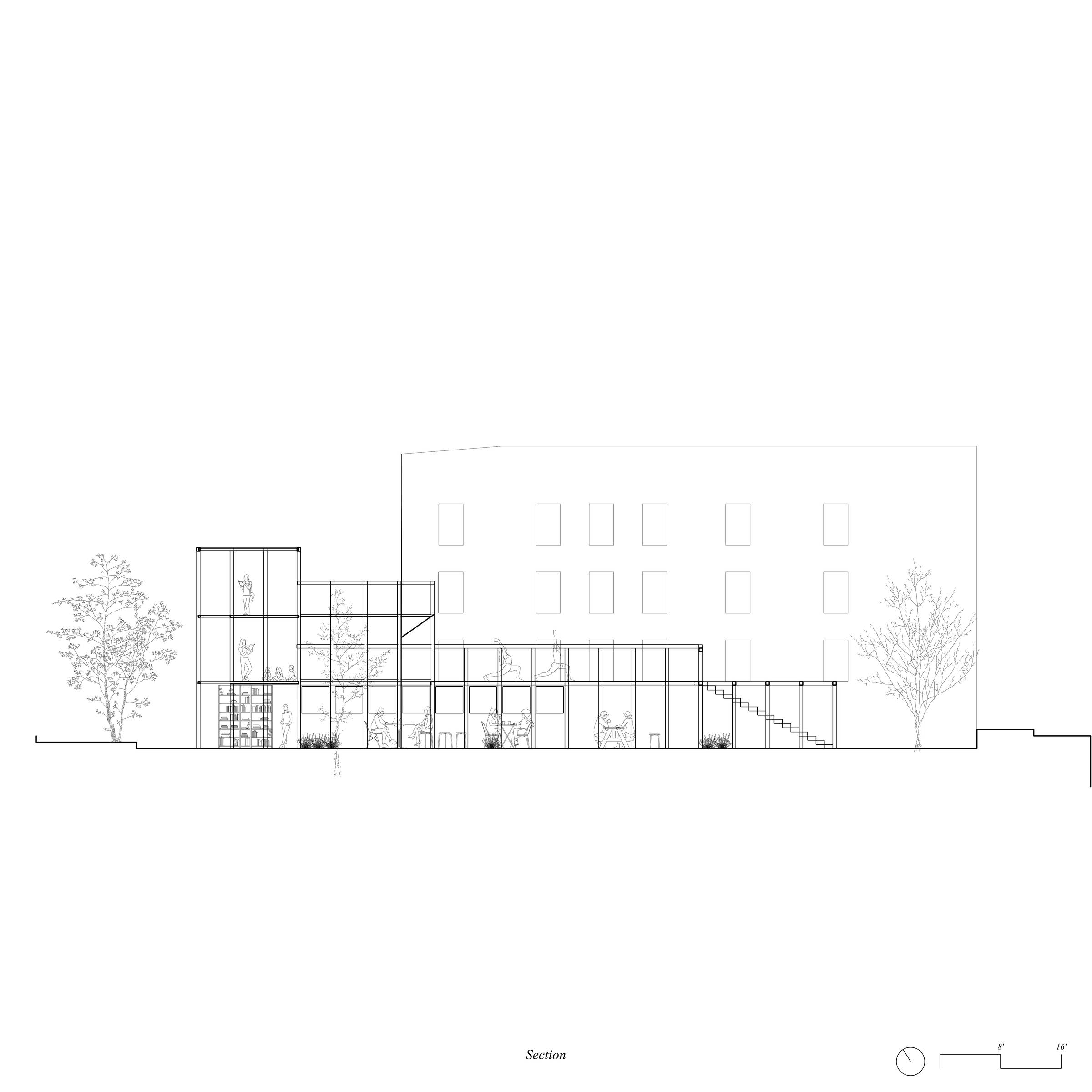 Section 5